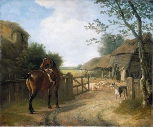 Daniel Beale At His Farm In Edmonton With His Favourite Horse