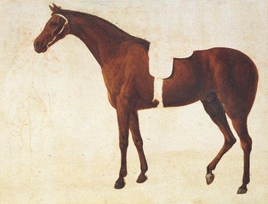 Study Of A Saddled Horse Held By A Man At The Bridle